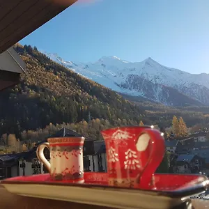 Appartement Vue Montblanc Magique En Centre-ville Avec Parking, Chamonix